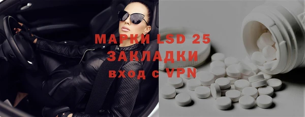 сатива Нефтекумск