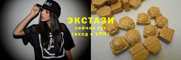 индика Болхов