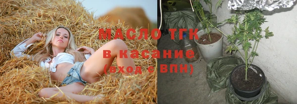 тгк Болотное