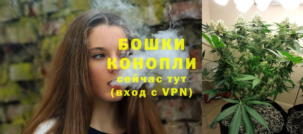 сатива Нефтекумск