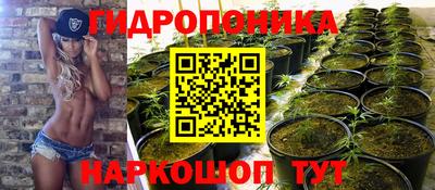 синтетический гашиш Будённовск