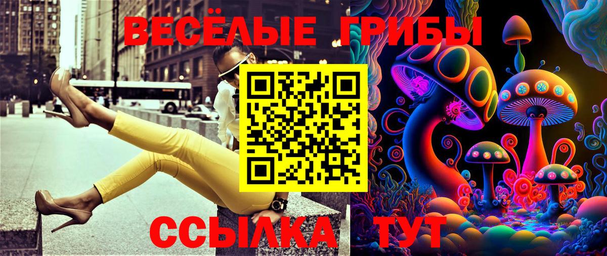 Псилоцибиновые грибы мицелий Ижевск