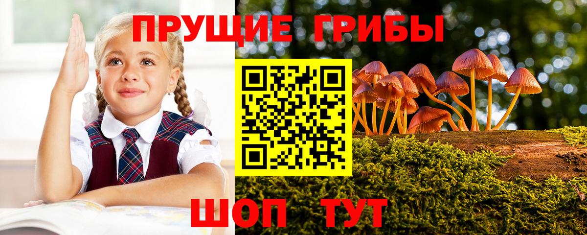 Галлюциногенные грибы прущие грибы  Галлюциногенные грибы Cubensis  Ижевск  Вход с VPN 