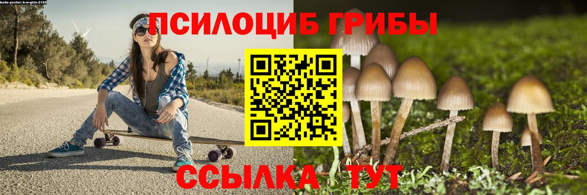 Псилоцибиновые грибы Psilocybe  купить наркотик  Ижевск 